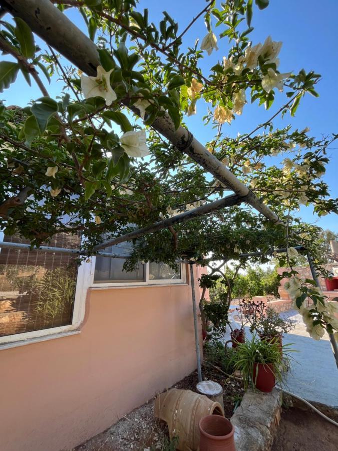 Apartamento Harry'S House Elafónisos Exterior foto